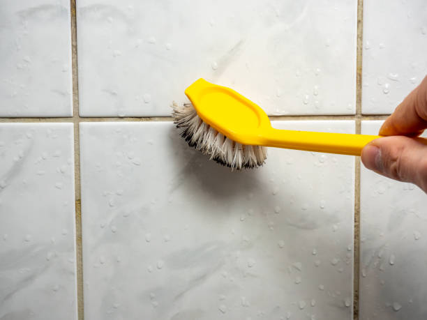 Trusted Williams Bay, WI Mold Remediation Experts