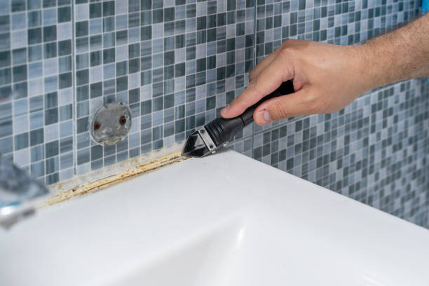 Best White Mold Remediation in Lliams Bay, WI
